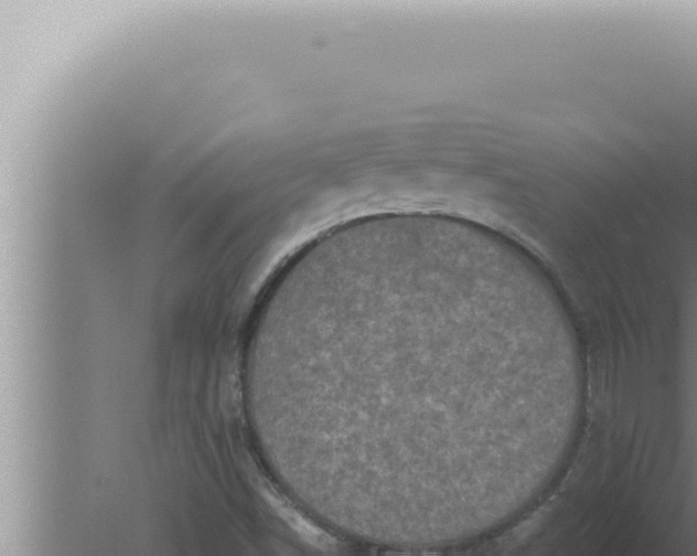 X0000080101498200612221725