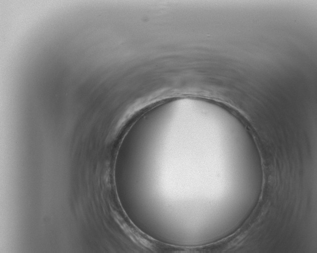 X0000080101499200612221725