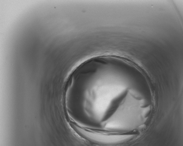 X0000080101500200612221725