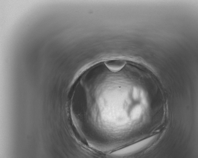 X0000080101501200612221725