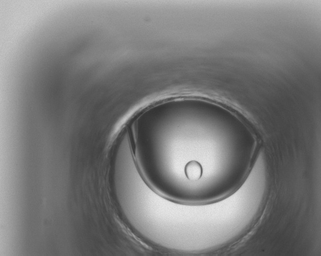 X0000080101502200612221725