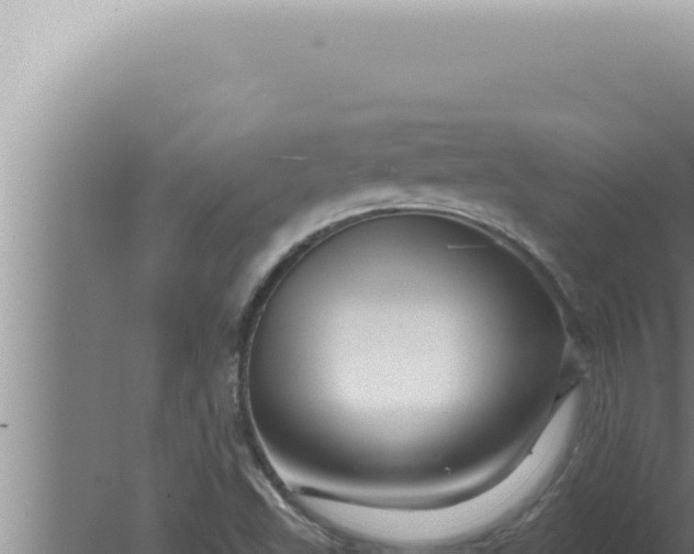 X0000080101503200612221725