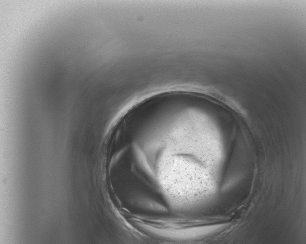 X0000080101504200612221725