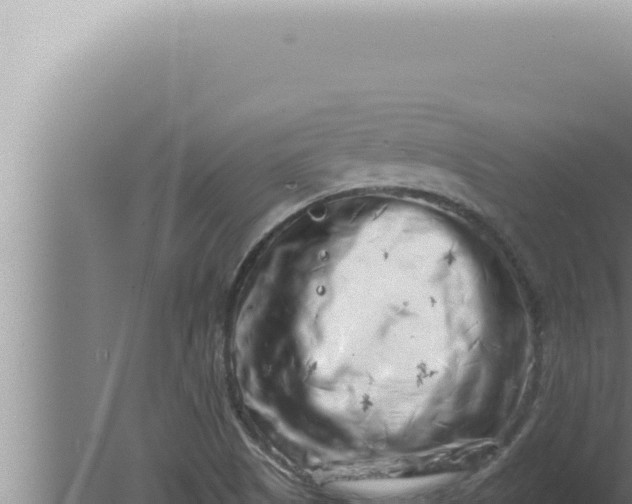 X0000080101505200612221725