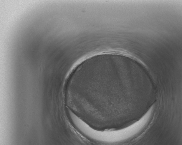 X0000080101506200612221725