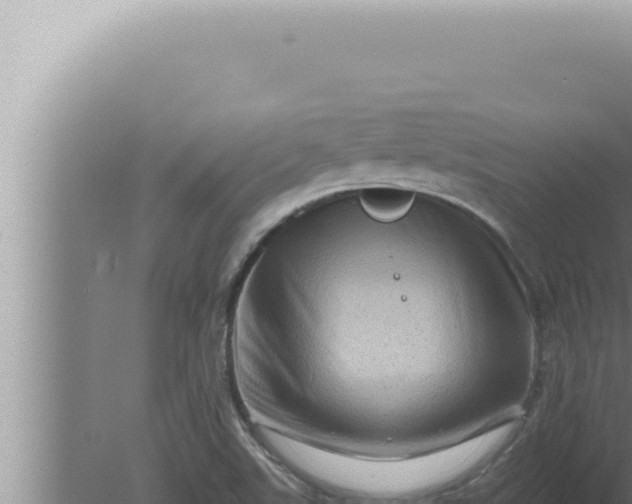 X0000080101507200612221725