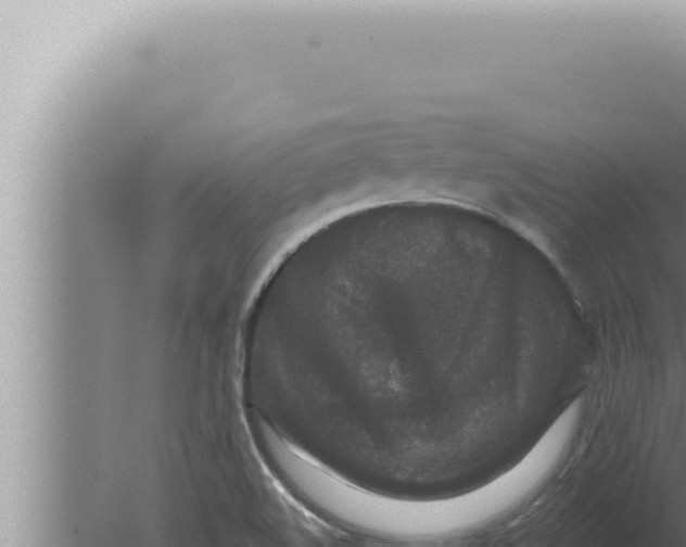 X0000080101508200612221725