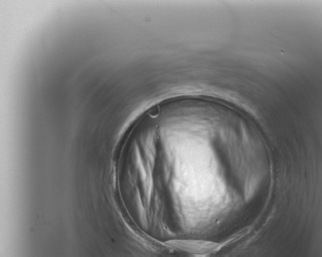 X0000080101509200612221725