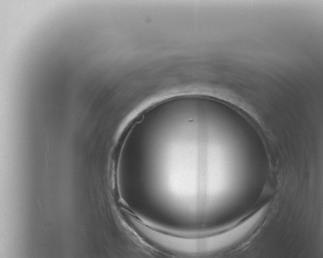 X0000080101510200612221725