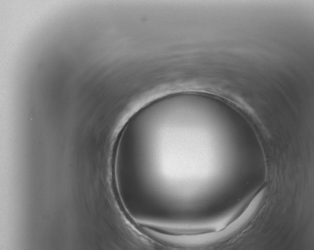 X0000080101512200612221725