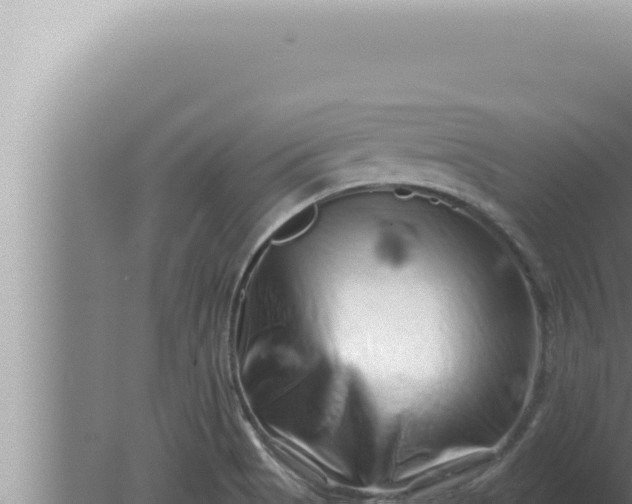 X0000080101513200612221725