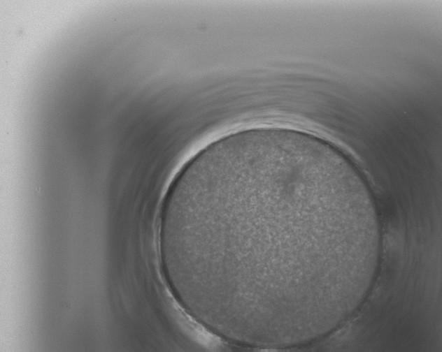 X0000080101514200612221725