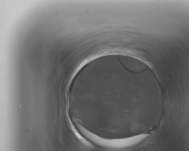 X0000080101515200612221725