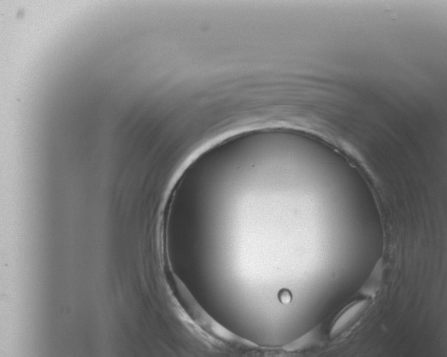 X0000080101516200612221725