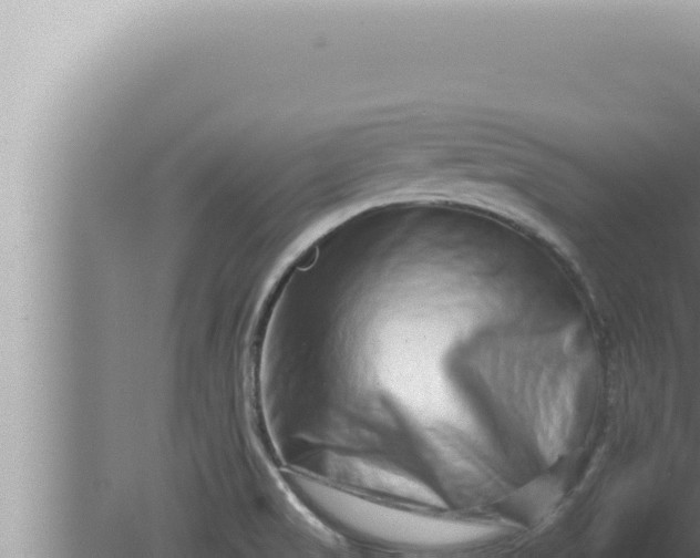 X0000080101517200612221725