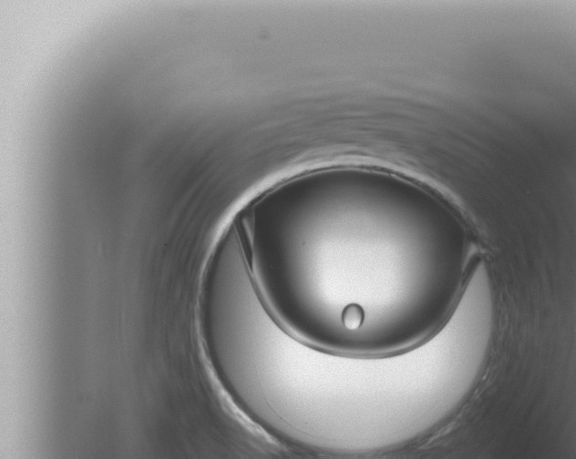 X0000080101518200612221725