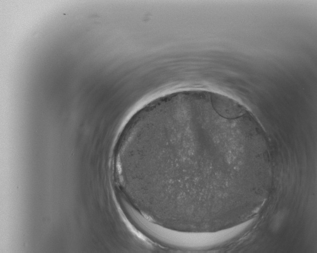 X0000080101519200612221725