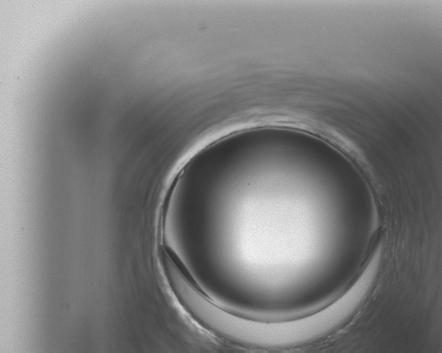 X0000080101520200612221725