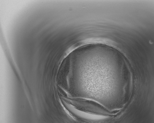 X0000080101521200612221725