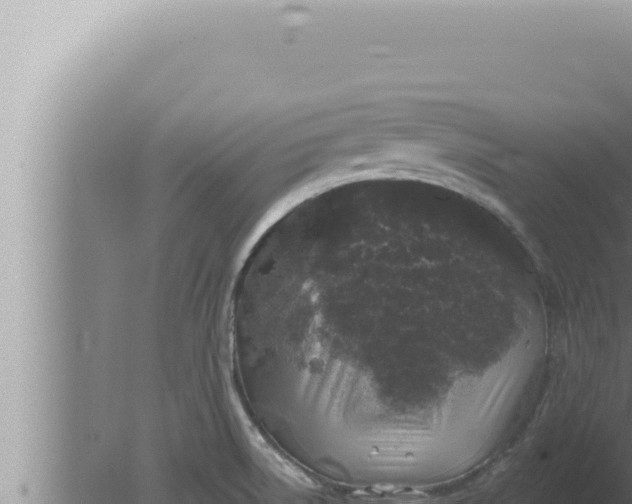 X0000080101522200612221725