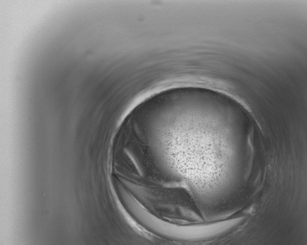 X0000080101523200612221725