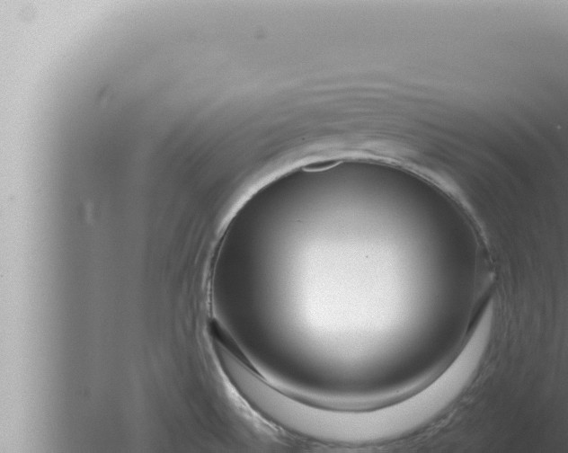 X0000080101524200612221725