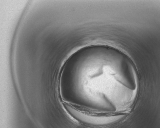 X0000080101525200612221725