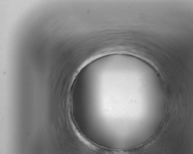 X0000080101526200612221725