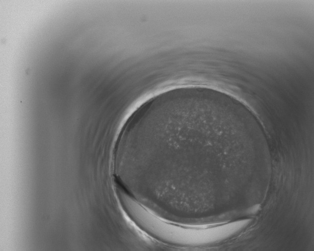 X0000080101527200612221725