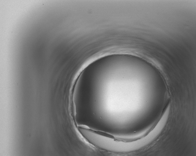 X0000080101528200612221725