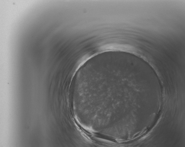 X0000080101529200612221725