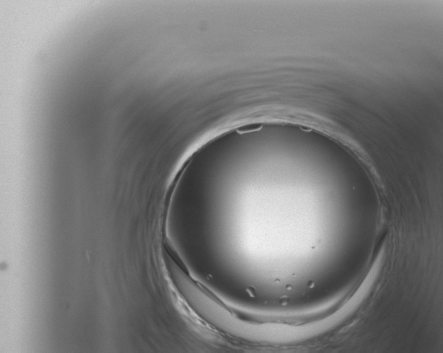 X0000080101530200612221725