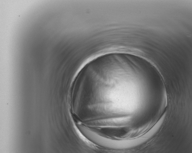 X0000080101531200612221725