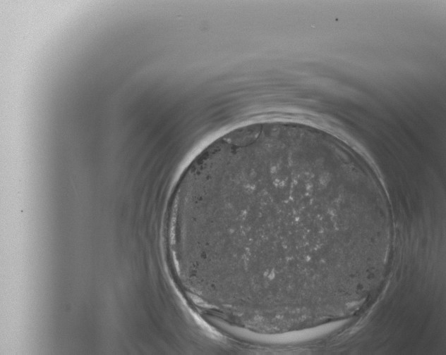 X0000080101533200612221725