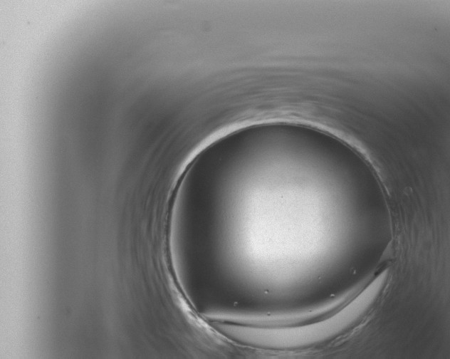 X0000080101534200612221725