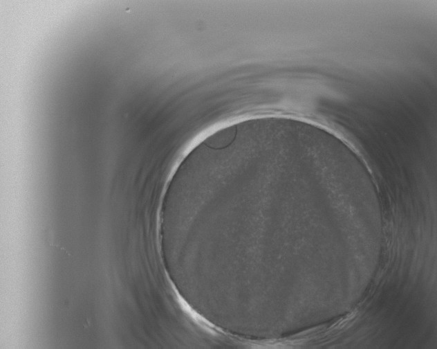 X0000080101535200612221726