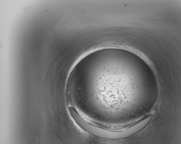 X0000080101536200612221726