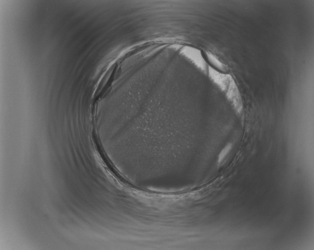 X0000080100002200612301930