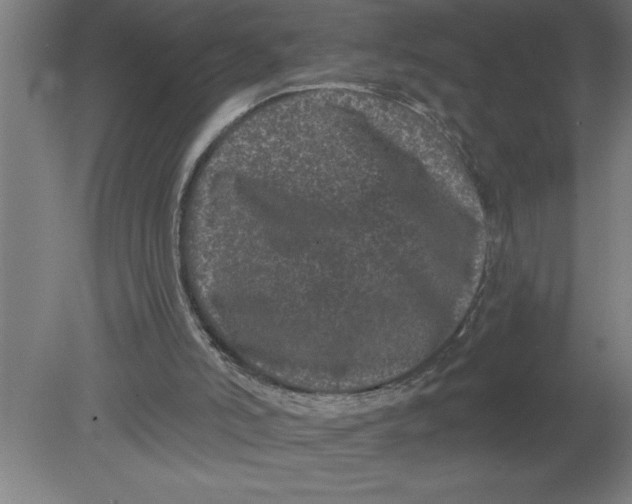 X0000080100006200612301930