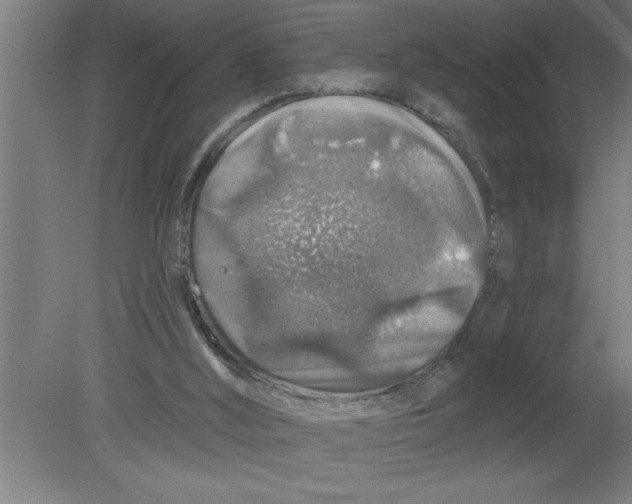 X0000080100012200612301930