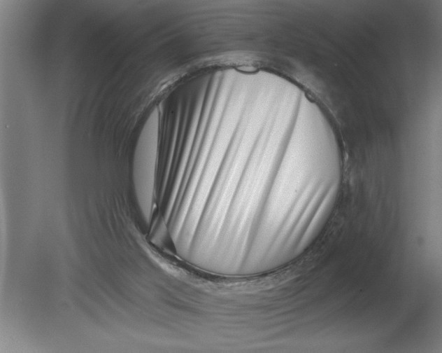 X0000080100013200612301930