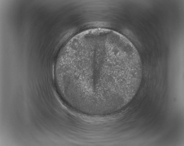 X0000080100014200612301930