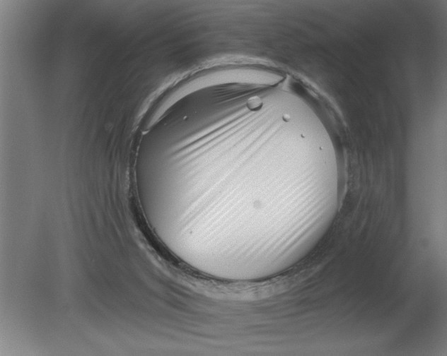 X0000080100015200612301930