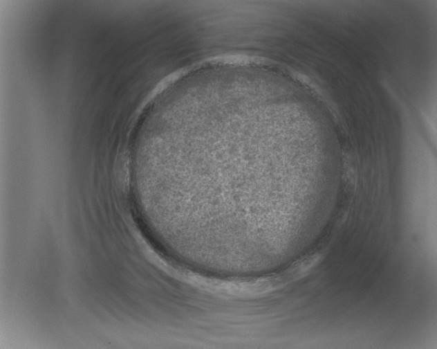 X0000080100016200612301929