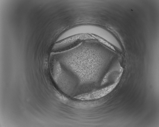 X0000080100017200612301929