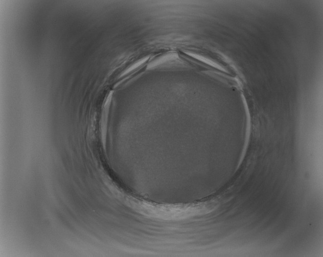 X0000080100018200612301929