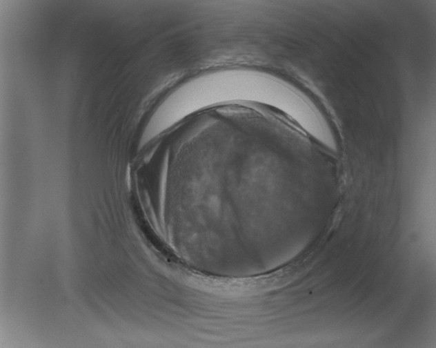 X0000080100019200612301929