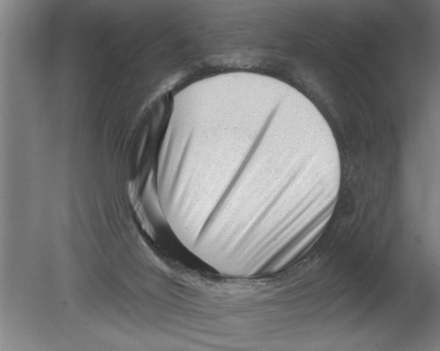 X0000080100020200612301929