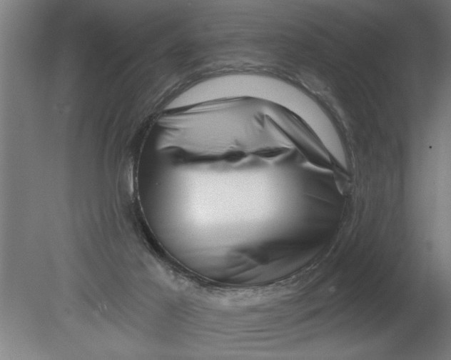 X0000080100021200612301929