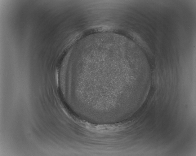 X0000080100022200612301929